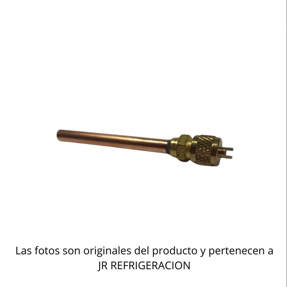 valvula-con-chicote-de-14-con-tapa-y-ovulo-0307010014